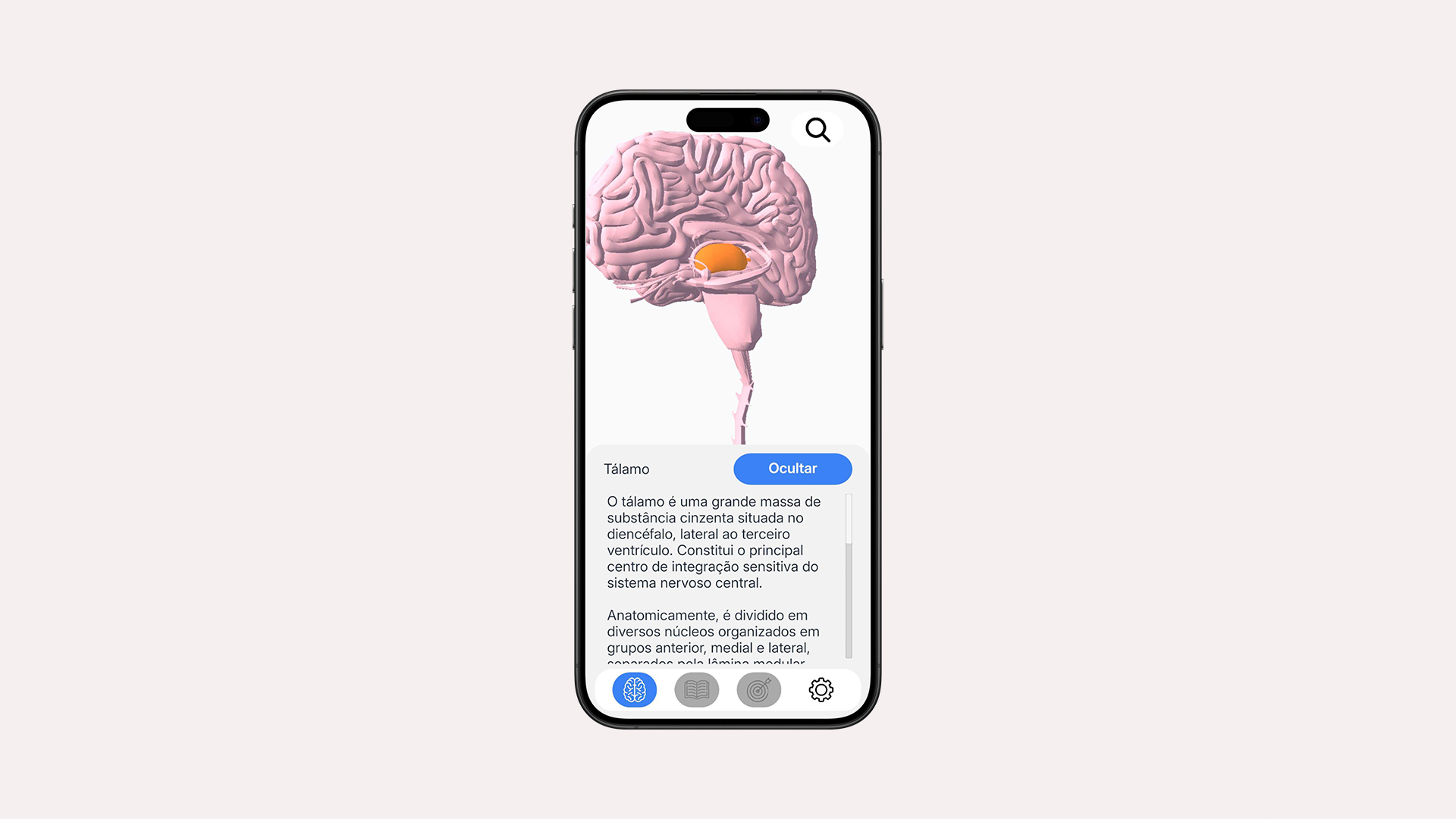 Foto real do App Neuroanatomia 3D